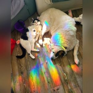 Leave a comment for what you're looking for!